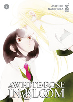A White Rose in Bloom